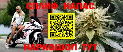 стаф Донецк