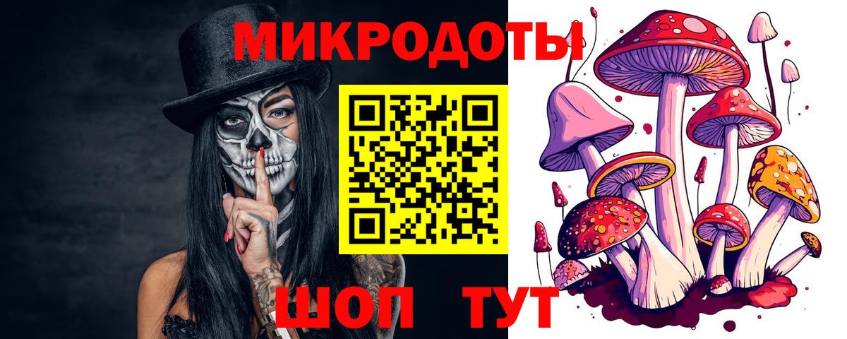 Гусиноозёрск  Псилоцибиновые грибы Magic Shrooms  Вход с VPN  Галлюциногенные грибы Psilocybe 