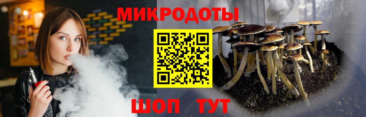 Галлюциногенные грибы GOLDEN TEACHER Гусиноозёрск